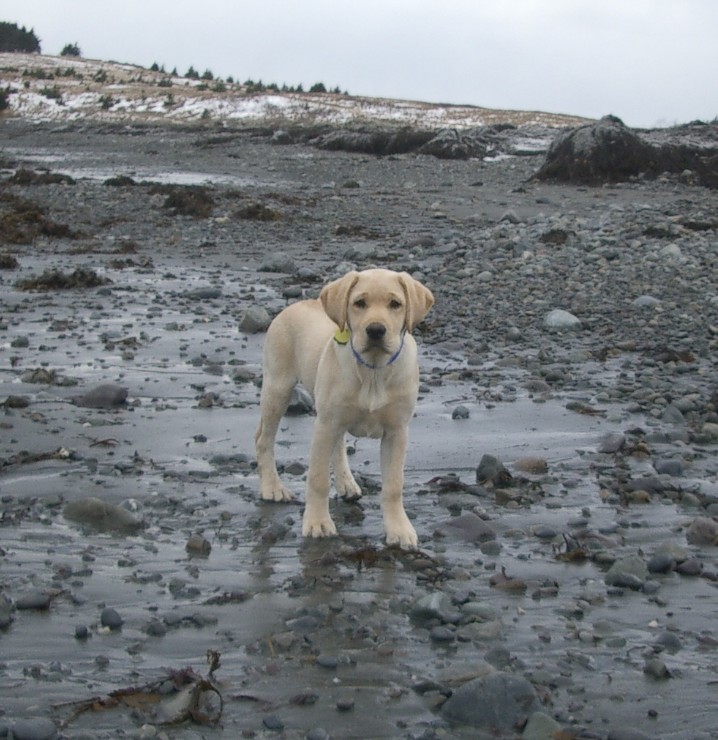Rocky_winter 2007 032.jpg